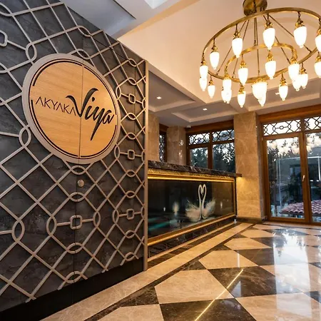Akyaka Viya Otel Hotel Akyaka (Mugla)