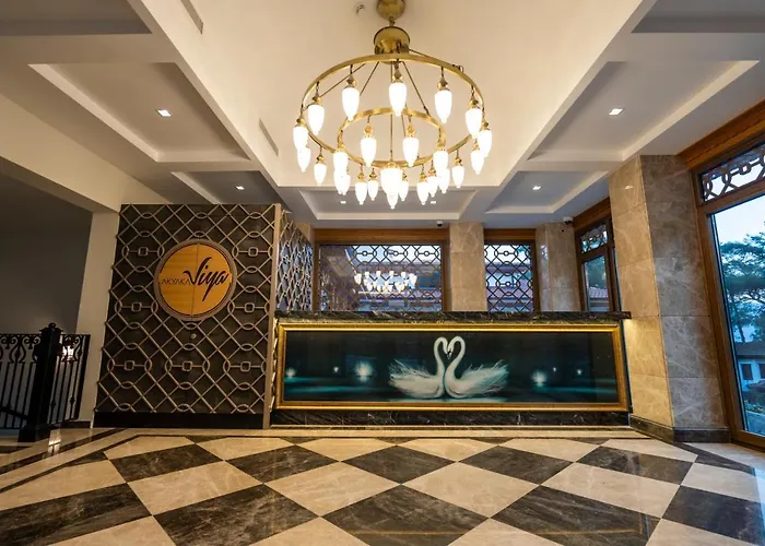 Hotel Akyaka Viya Otel *